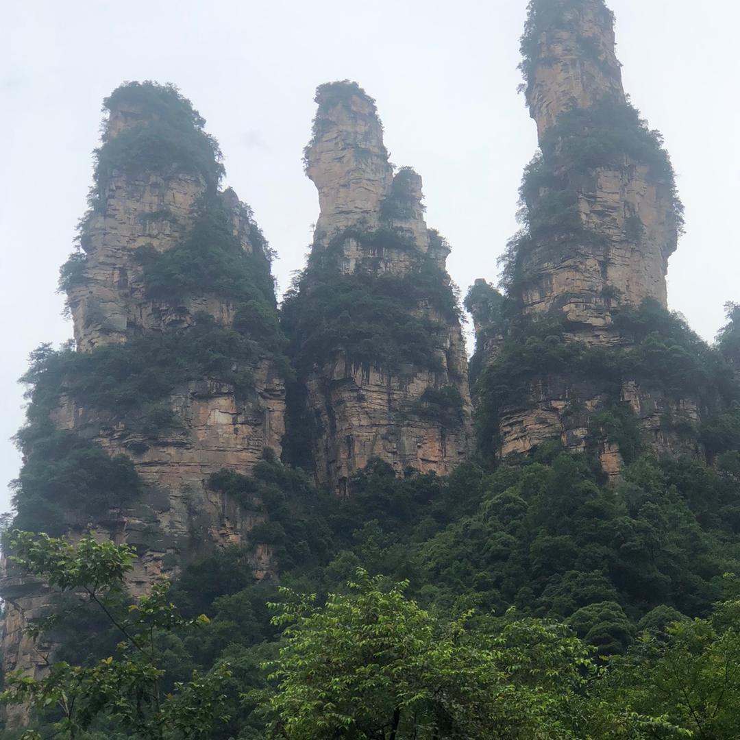 嗨宝