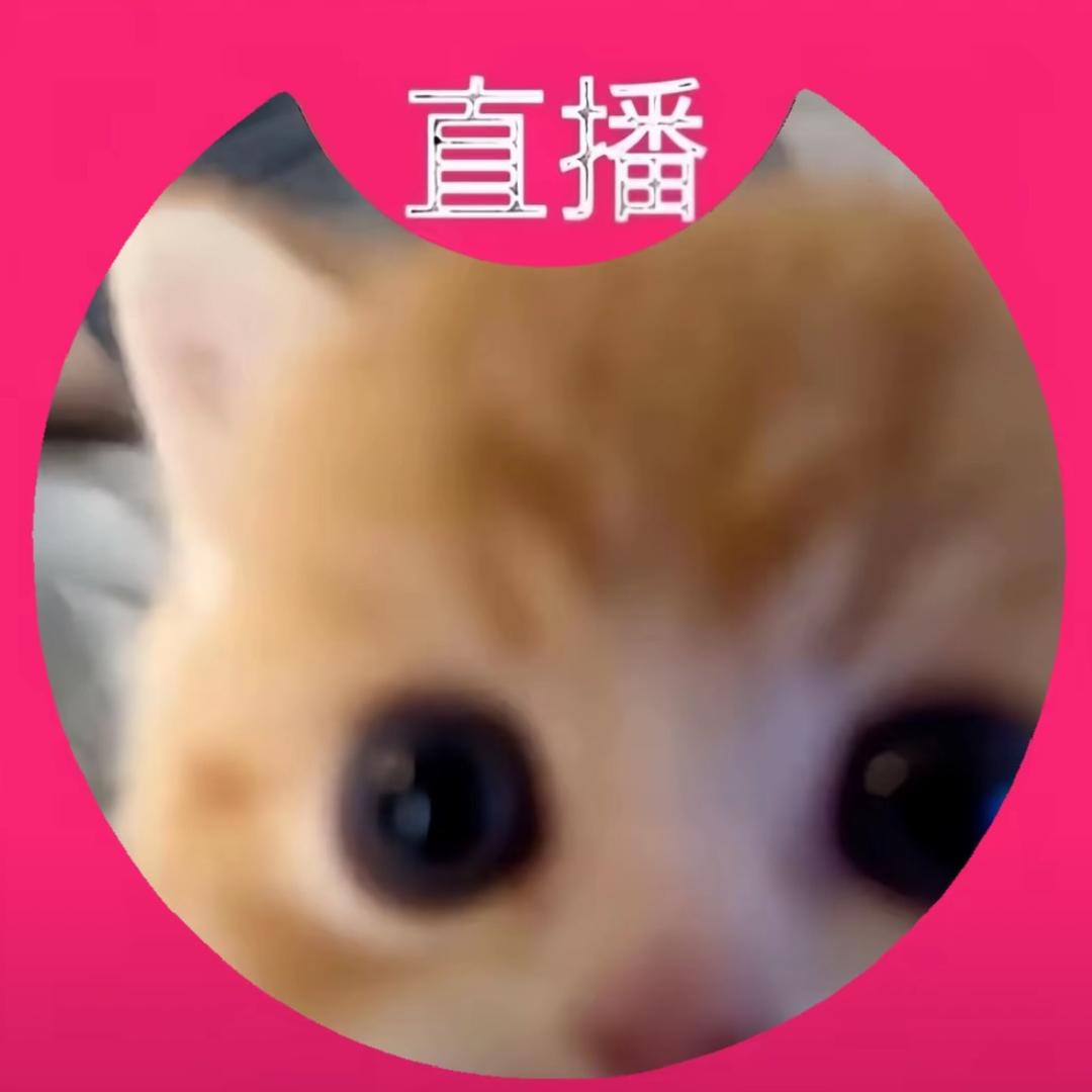 告白