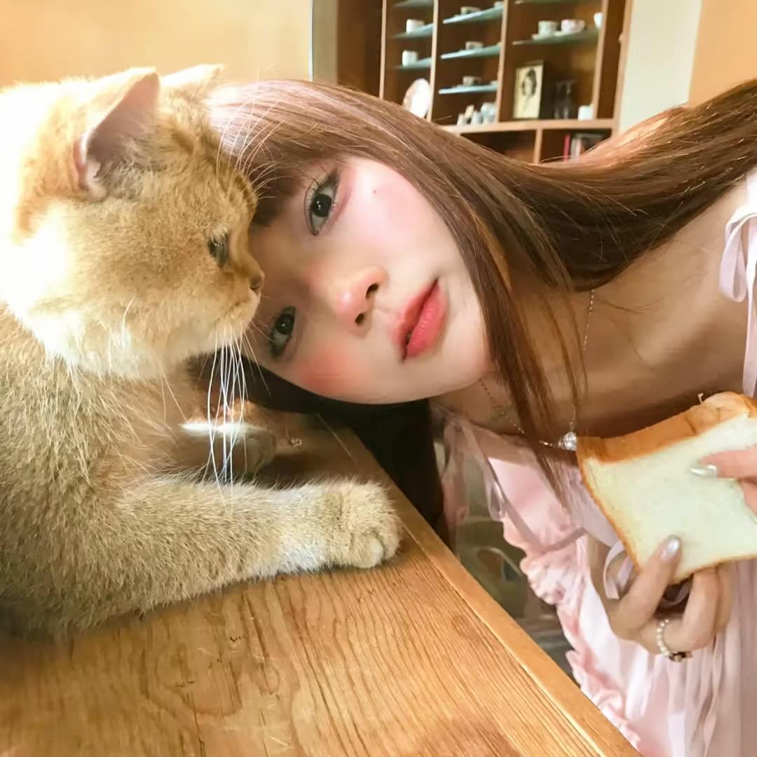 小宝