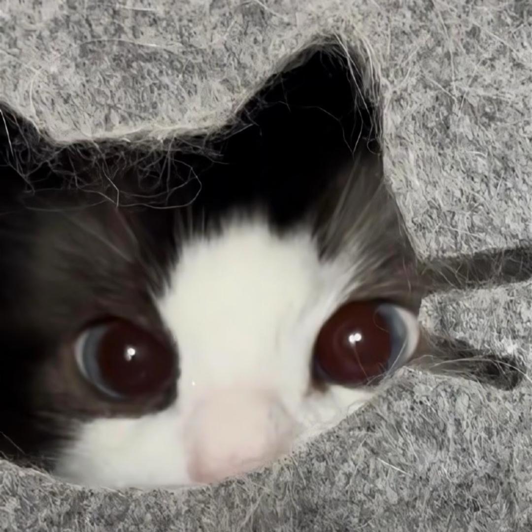 嘎哩蹦蹦
