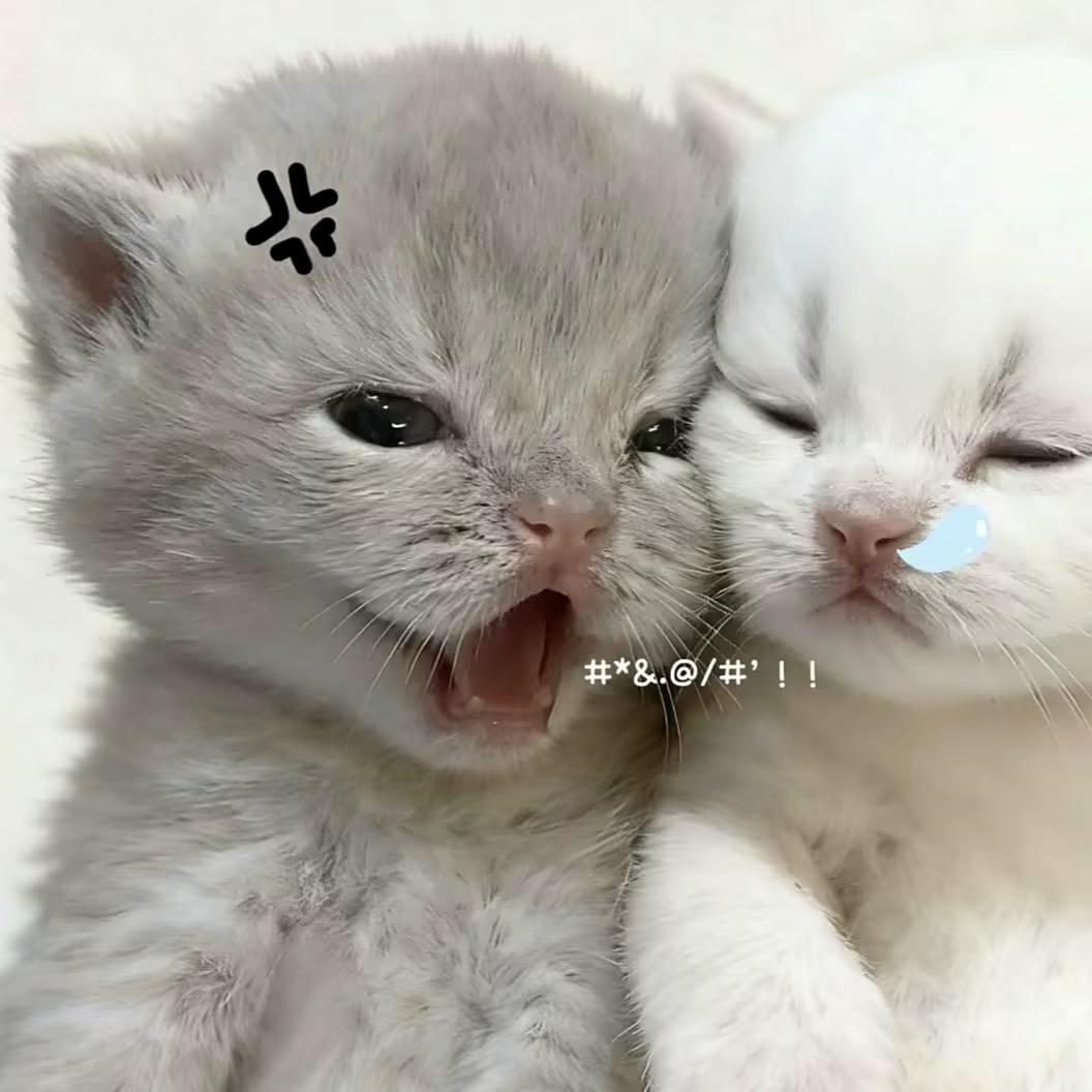 小熠