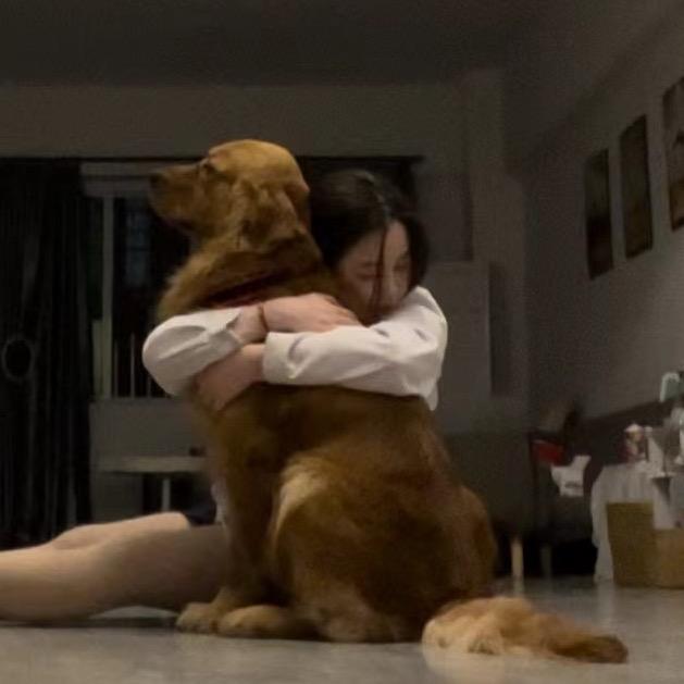 Baobao丿chen