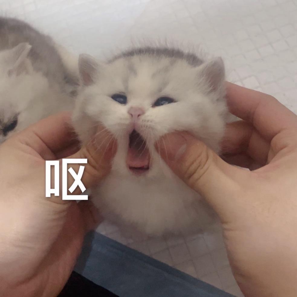 用户47334908578900