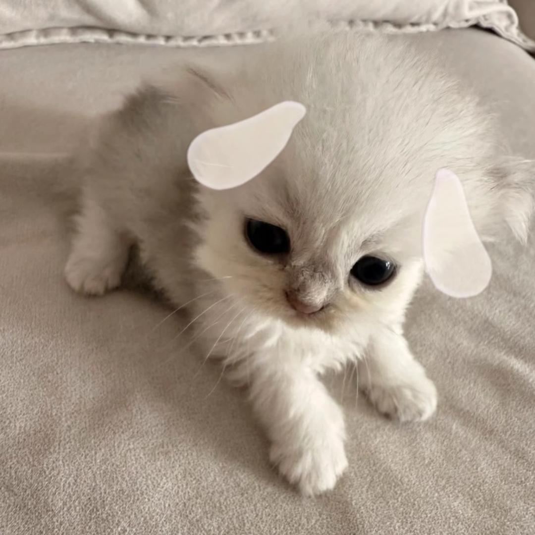 Mi.