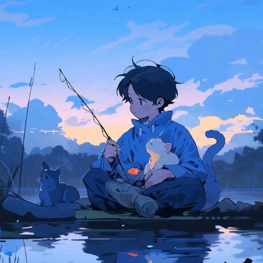 ✨去码头整点海鸥