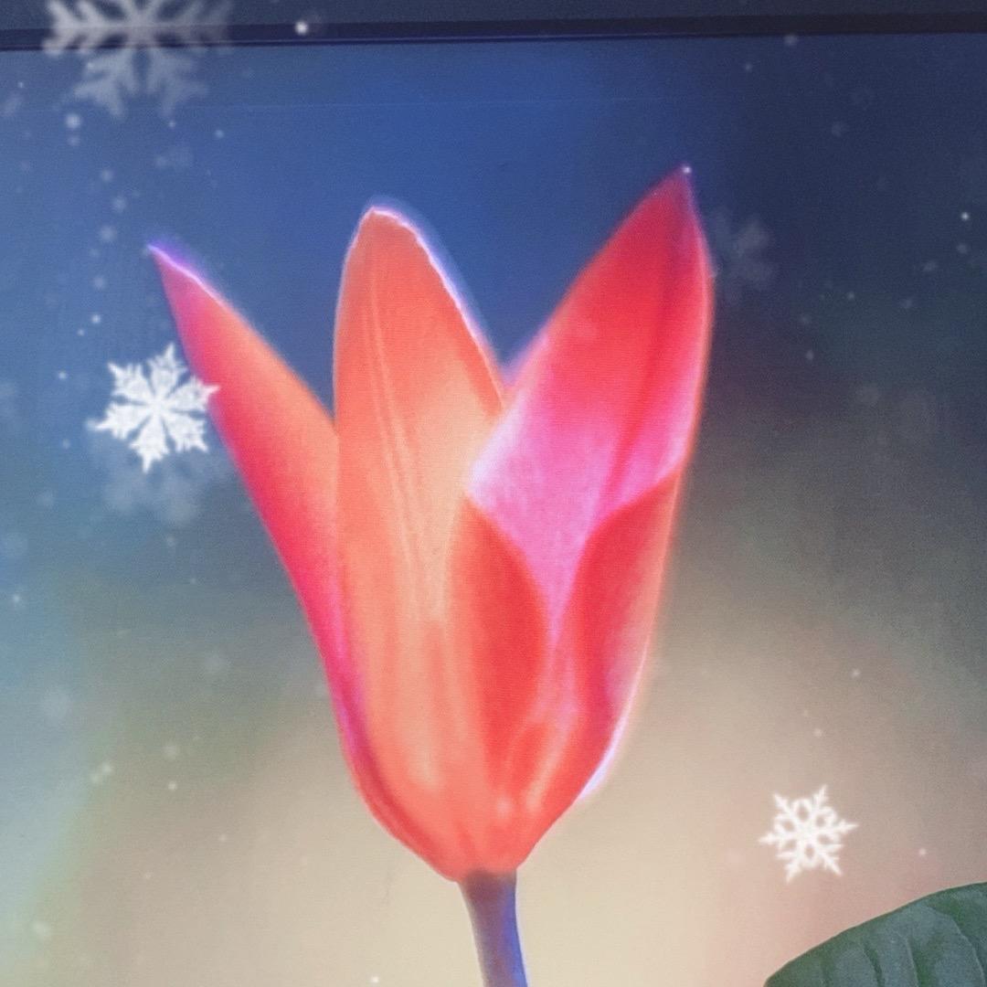 我的爱