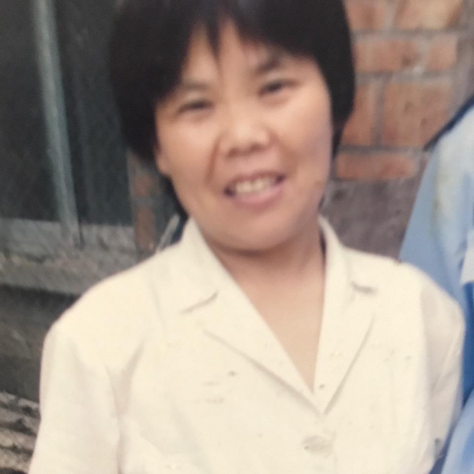 乔凤
