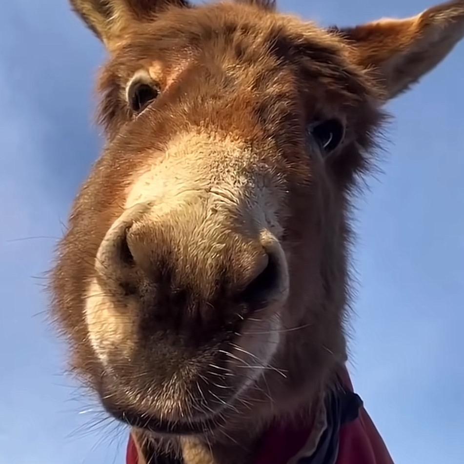 凭什么让我连跪