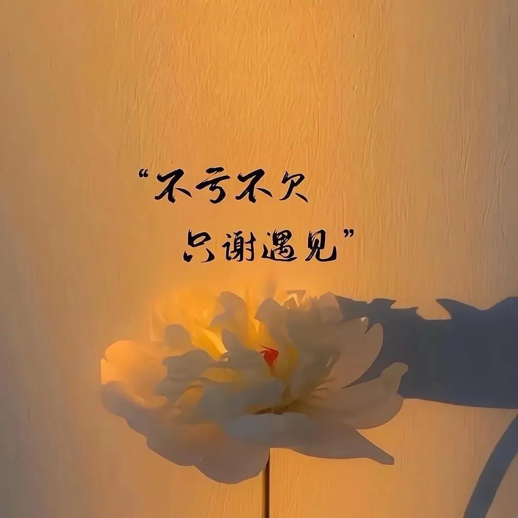 白浅