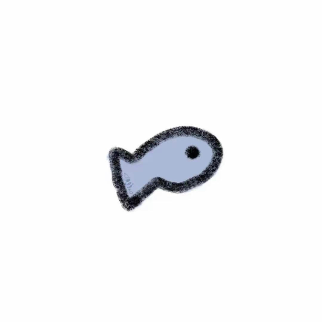 𝙍