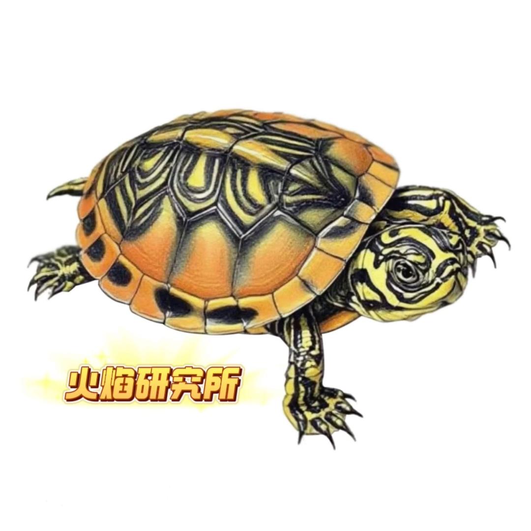 火焰研究所(养龟版）