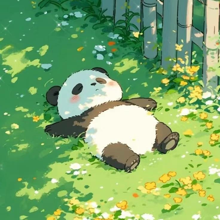 北极星的方向