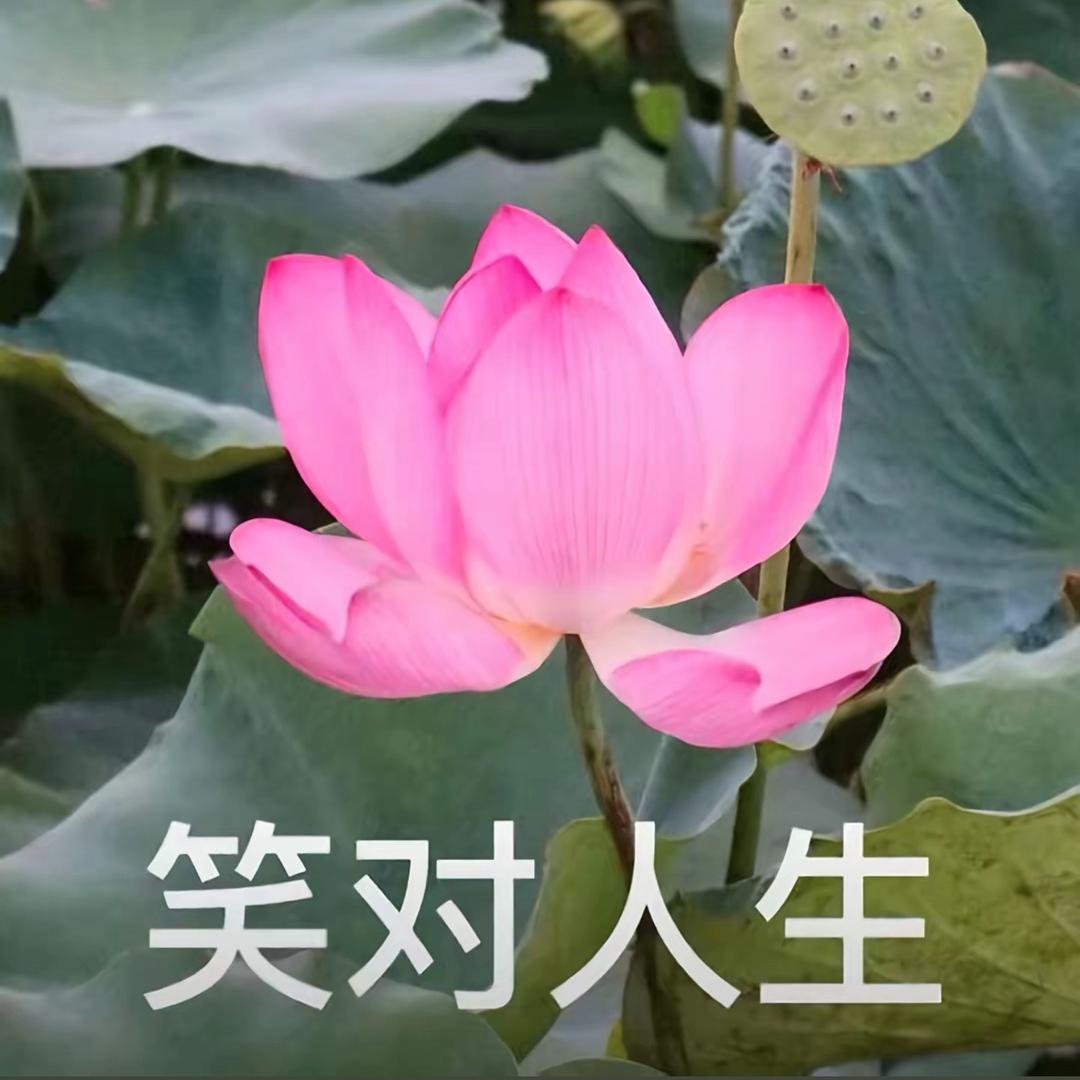 周周