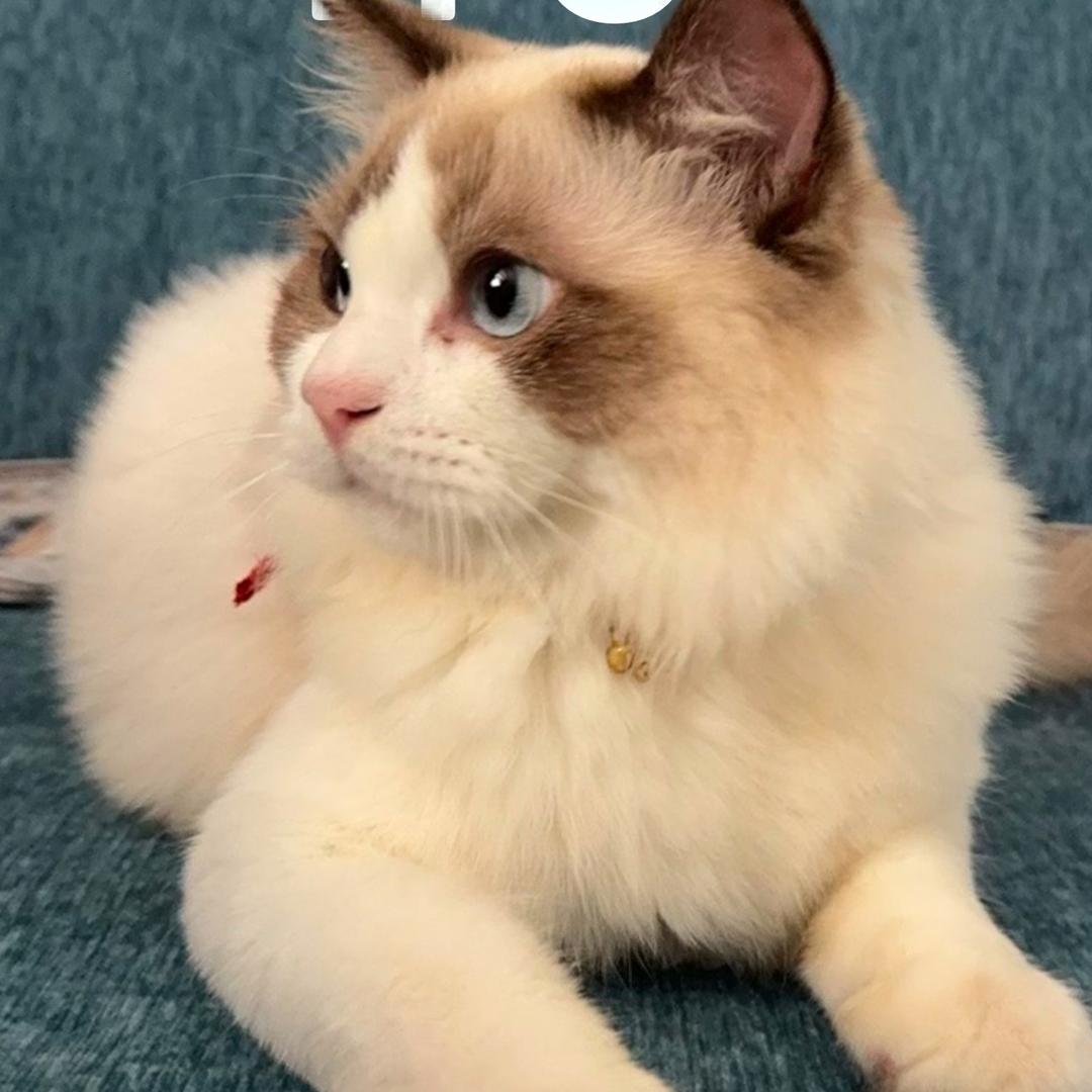 დ᭄听说糖💞很甜დ᭄