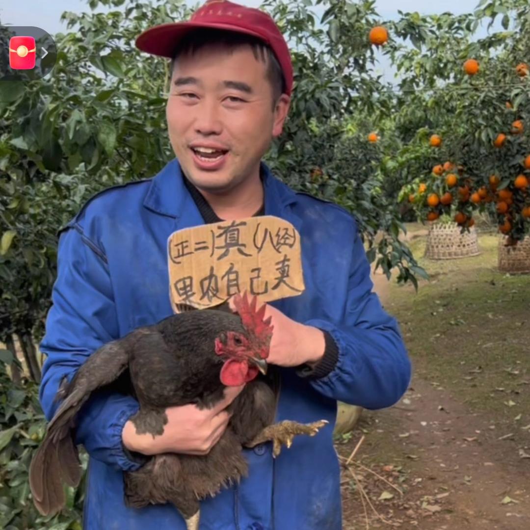 小李师傅果园（日常号）