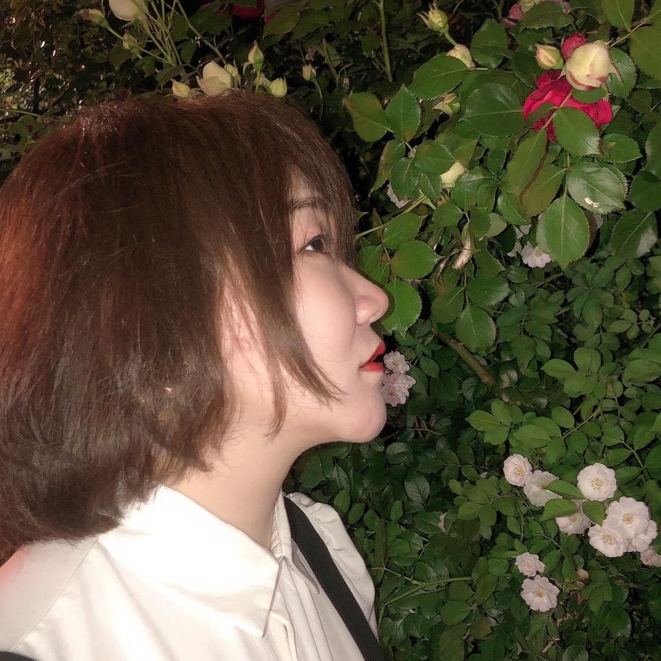 梦梦不吃糖