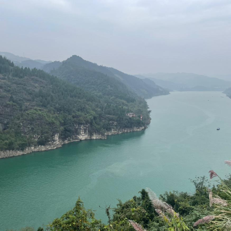 ☘️一生🦋🦋有李☘️