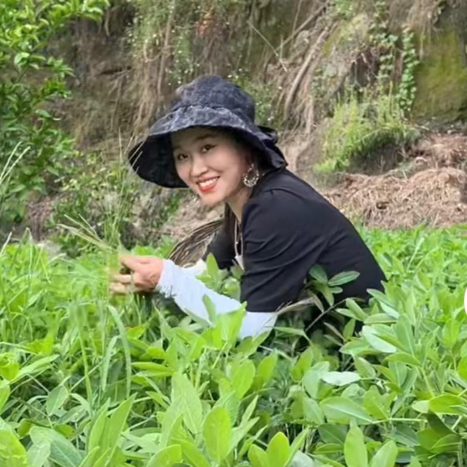 兰妹