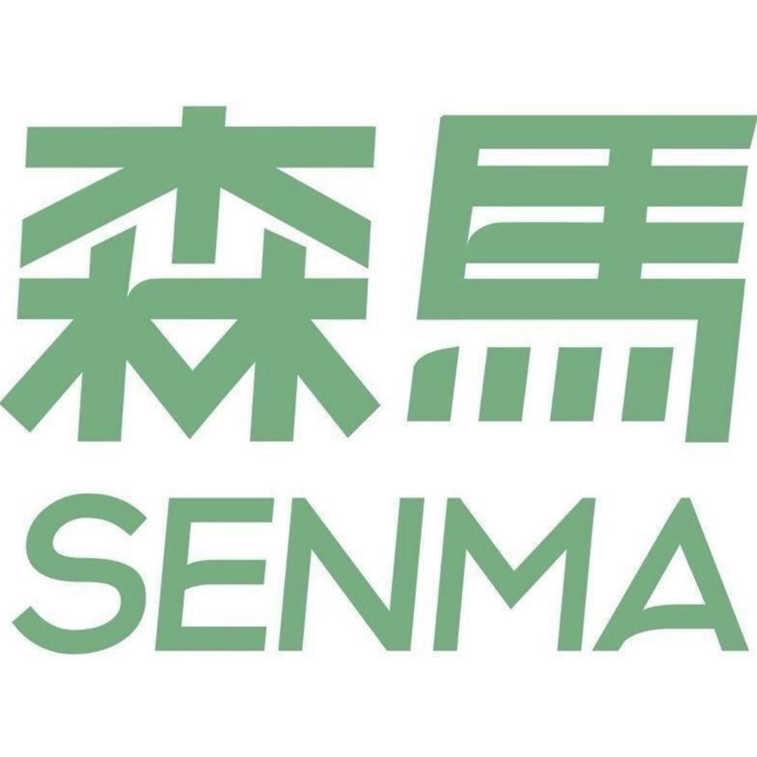 SENMA森马西环鞋类专卖店