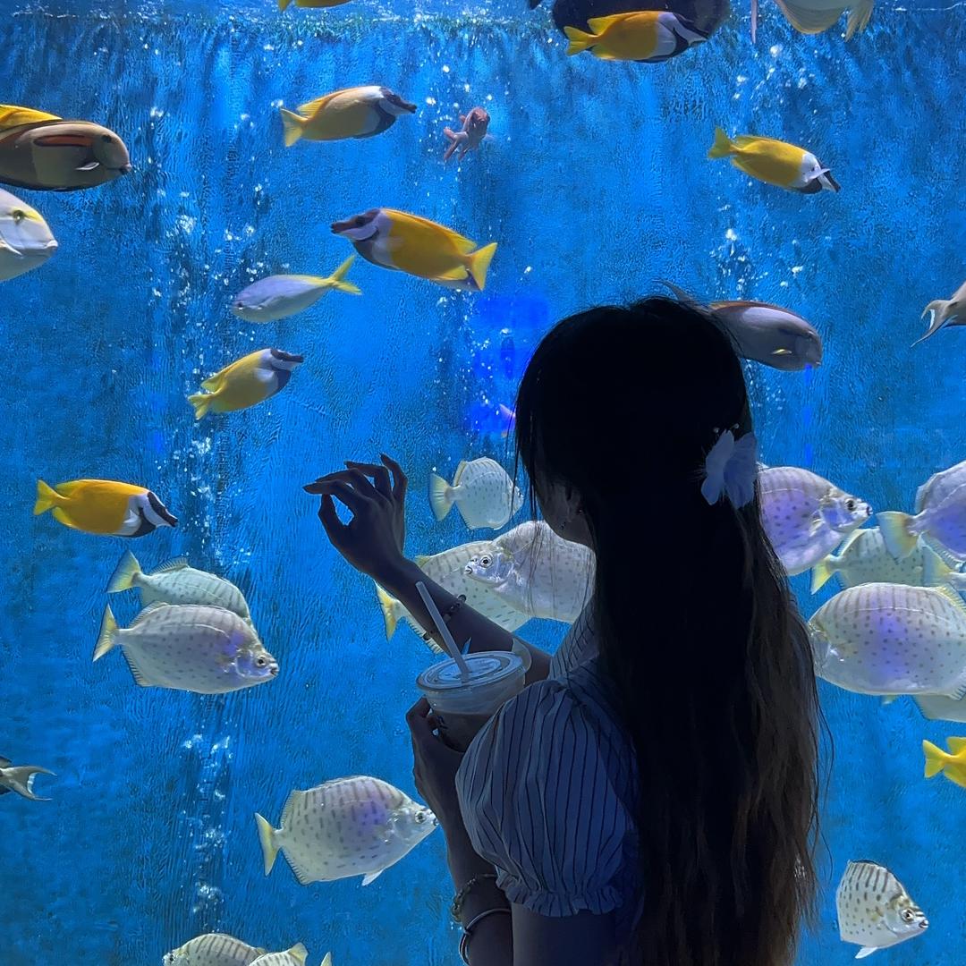 ʚ星ɞ
