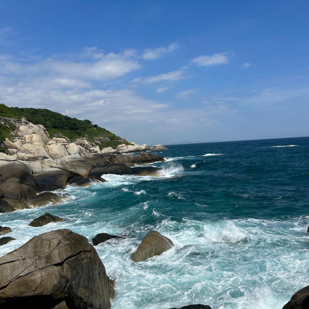 晚晚💖安