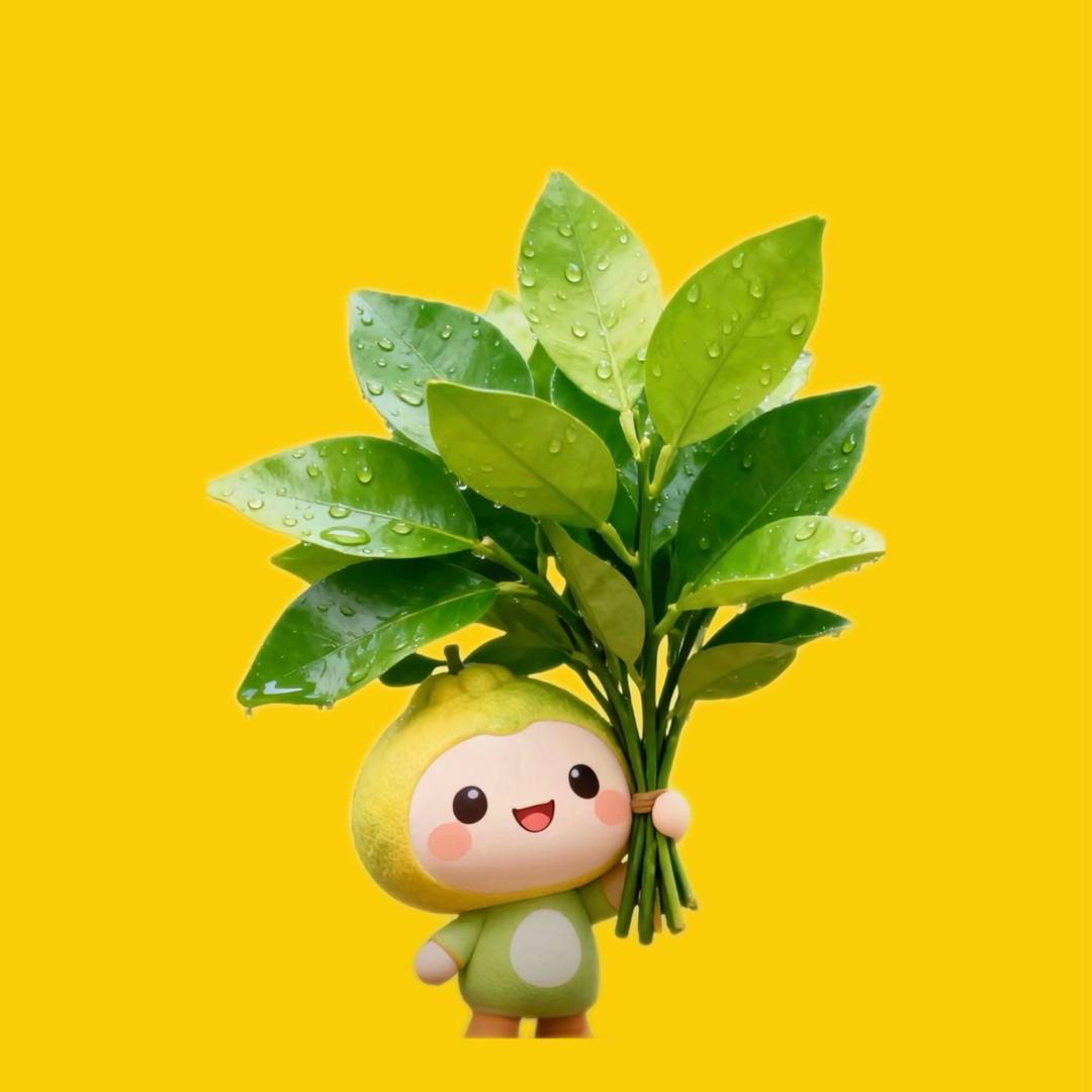 ღ᭄皆是꧔ꦿ᭄💞遗憾