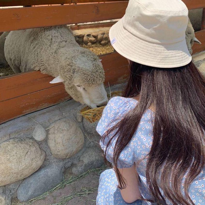 泰州美食攻略