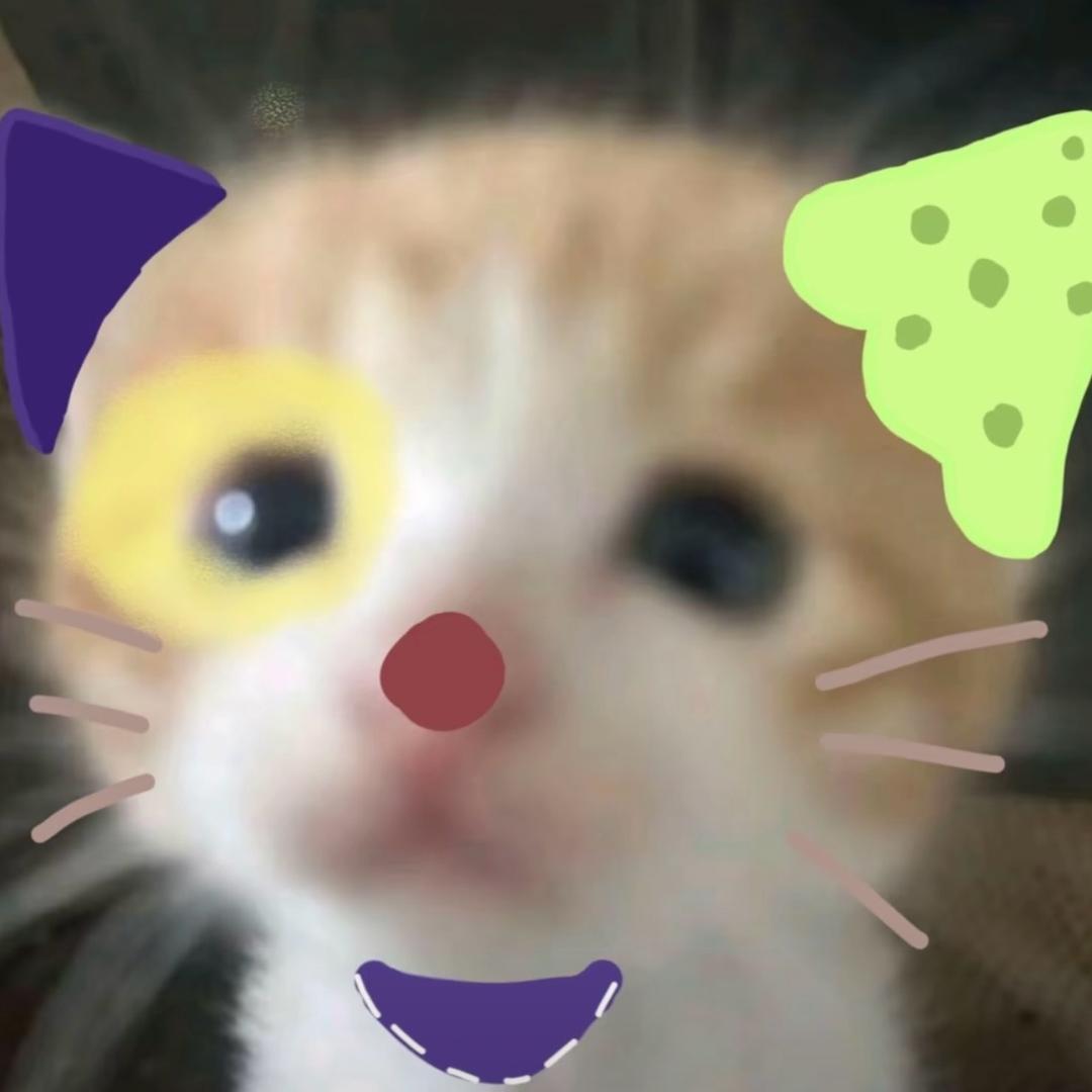 ฅ ᳐小猫੭ﾞ