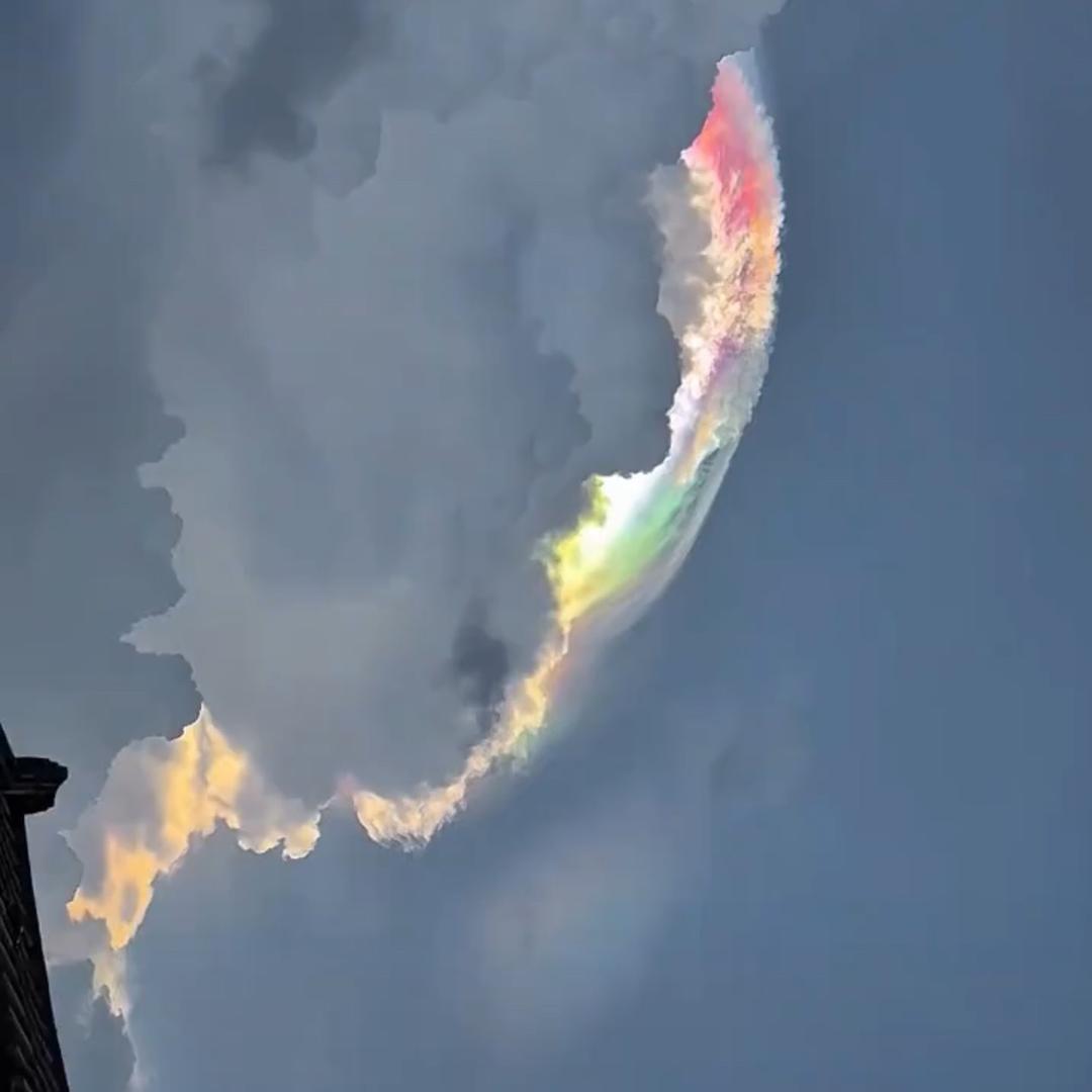 ᝰꫛ格局ꫀꪝ