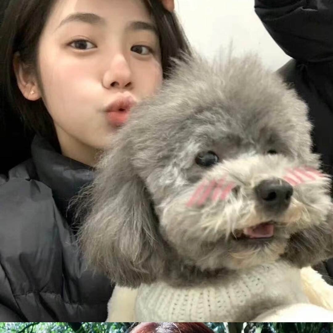 失眠伤脑筋