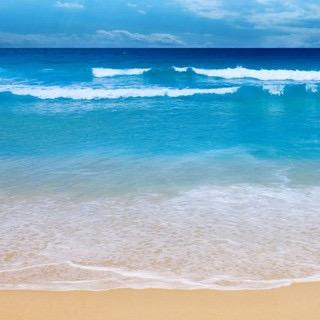 袜子姐姐是小晨吖