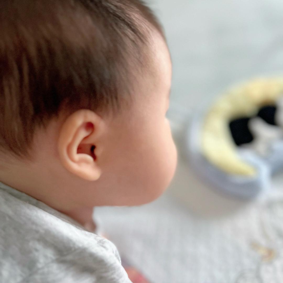 小年糕 （哺乳期）