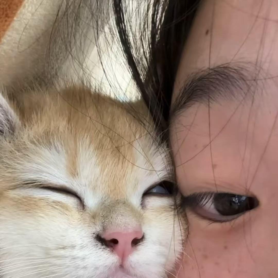 54香香