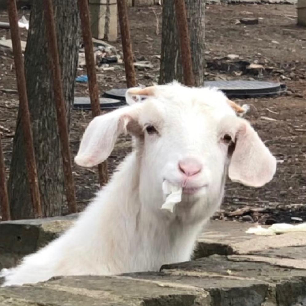 说几句不好吃的