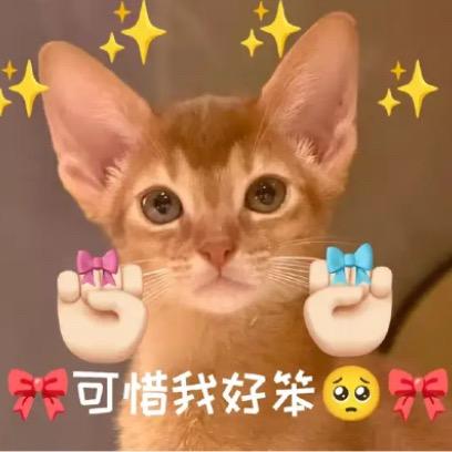 小小塔塔🔮🍋