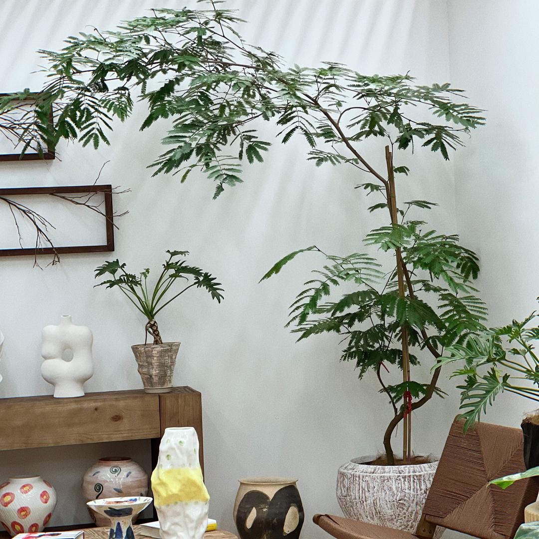 花町美植店