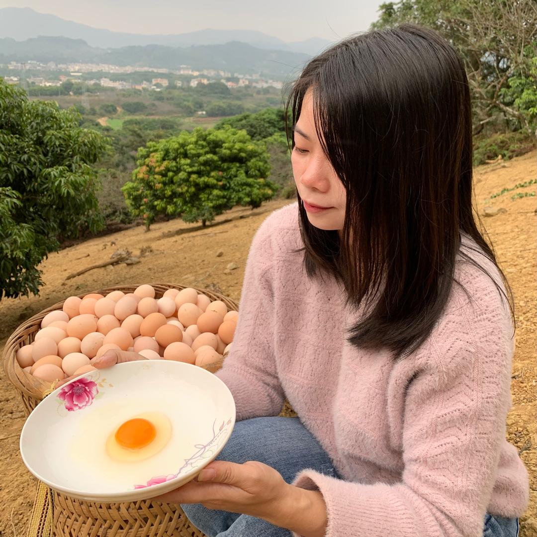 农村养鸡一家人