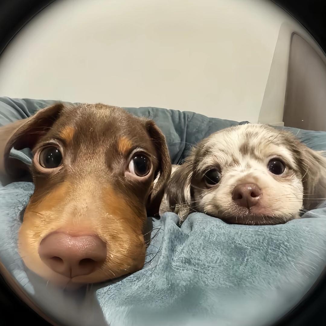 𝙀𝙞𝙜𝙝𝙩𝙚𝙚𝙣.💫