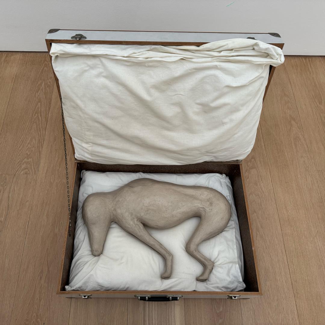 乌龙是你的茶吗