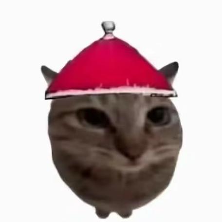 OVO
