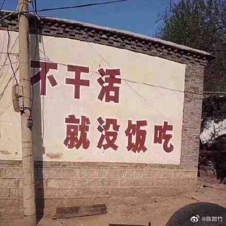 健身房的二货们