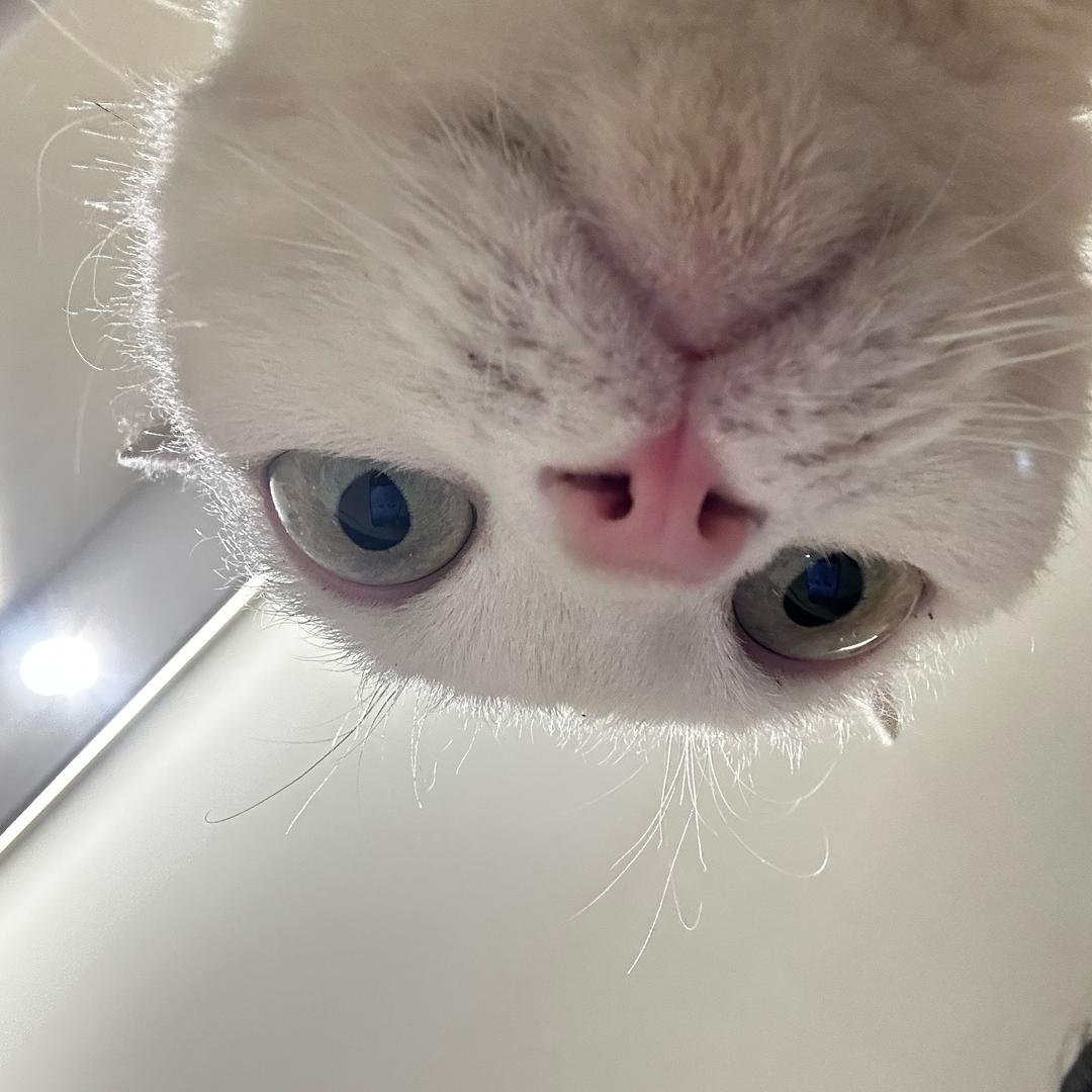 花花画了一朵花