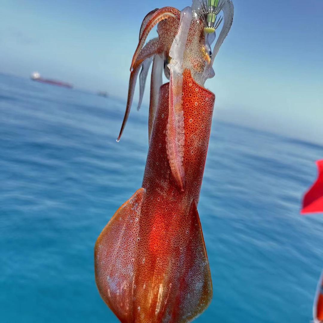 富贵家严选海鲜（野生虾）