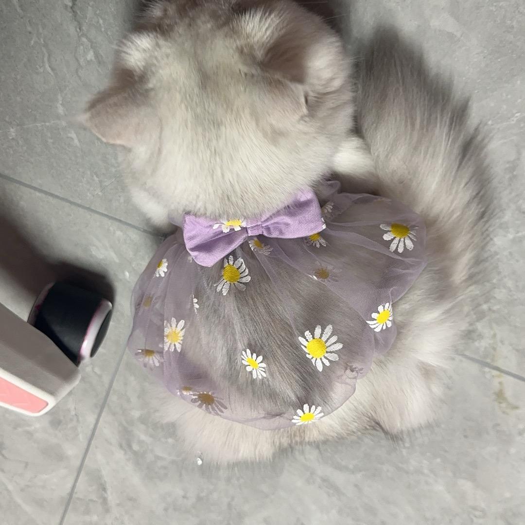 青田妖精的尾巴🐉¹⁰²⁹