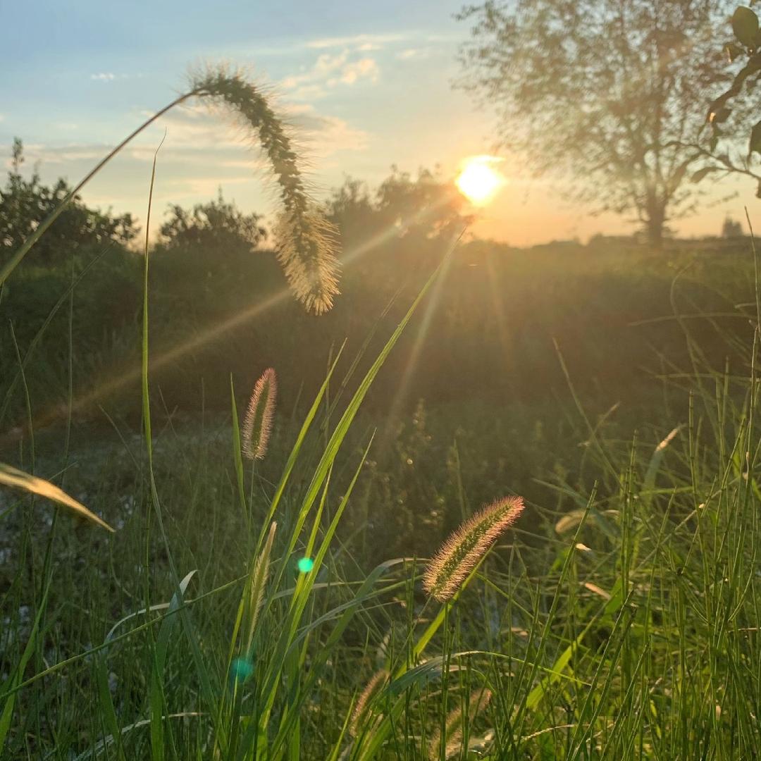小助理生活号999