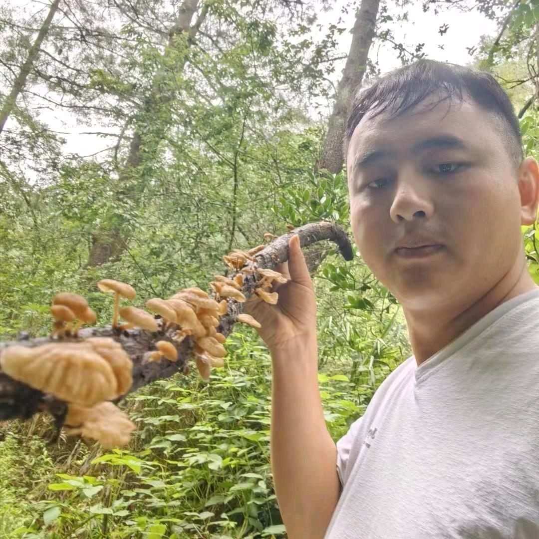 神龙