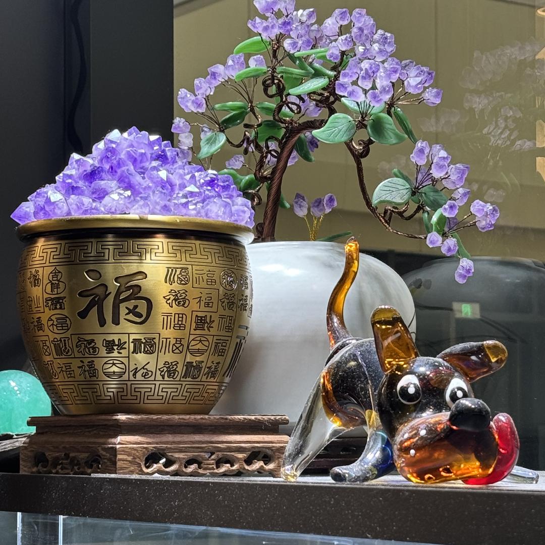 东海珍品汇