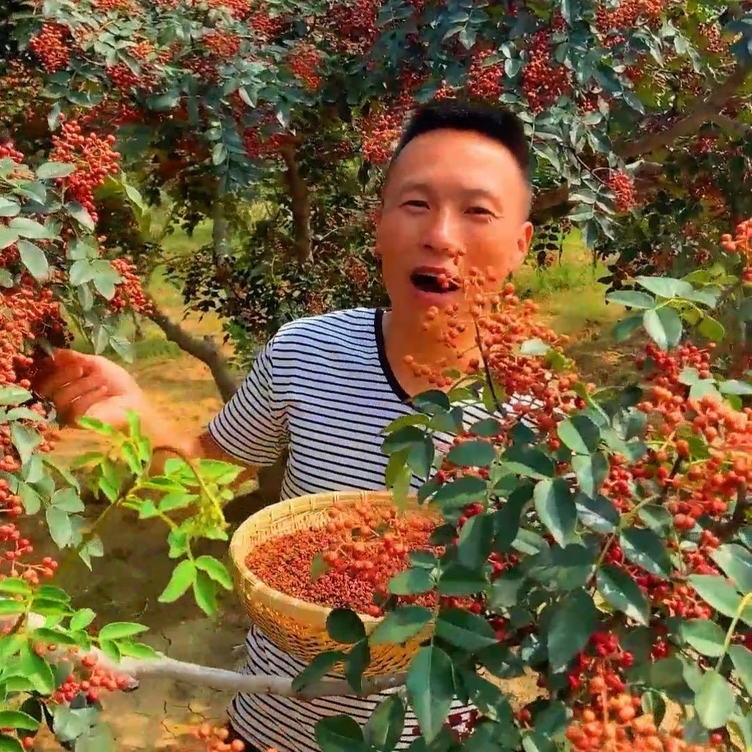 小杨生鲜果蔬