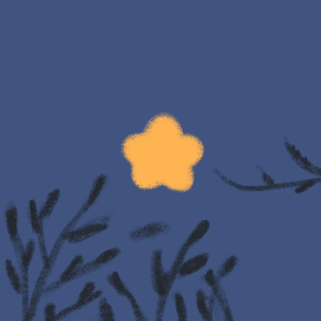 十六