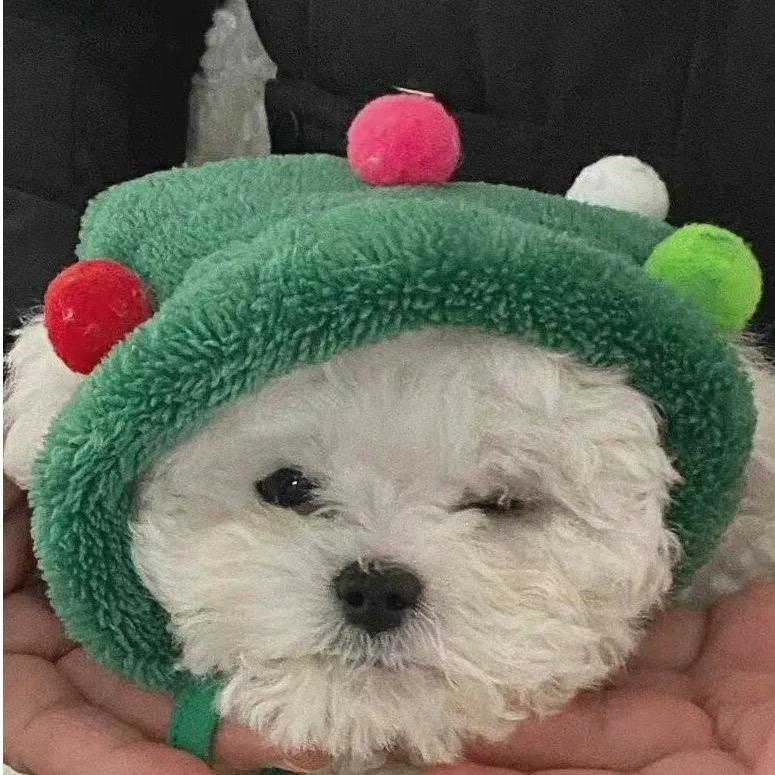 立早结构